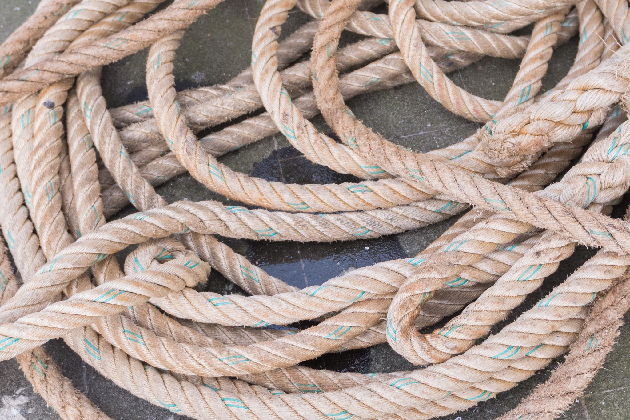 20230304   Fotoshoot IJmuiden   028